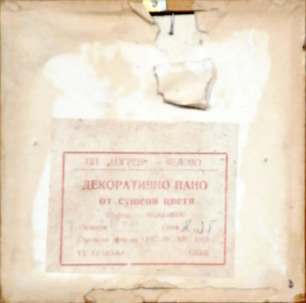 Картина върху картон с рамка, сушени цветя (289)