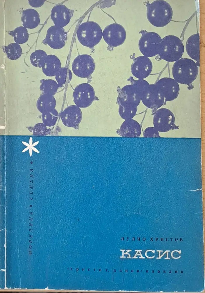 Касис (289)
