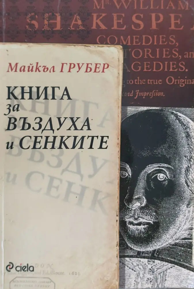 Книга за въздуха и сенките - Книги