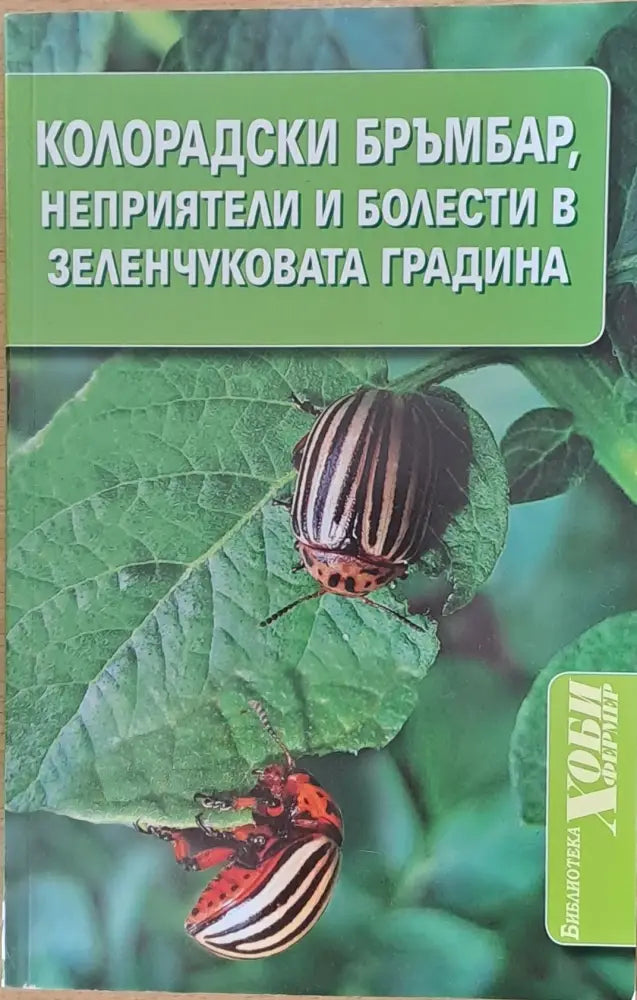 Колорадски бръмбар, неприятели и болести в зеленчуковата градина (254)