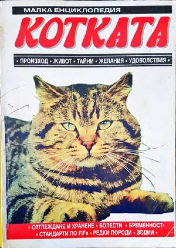 Котката - Книги