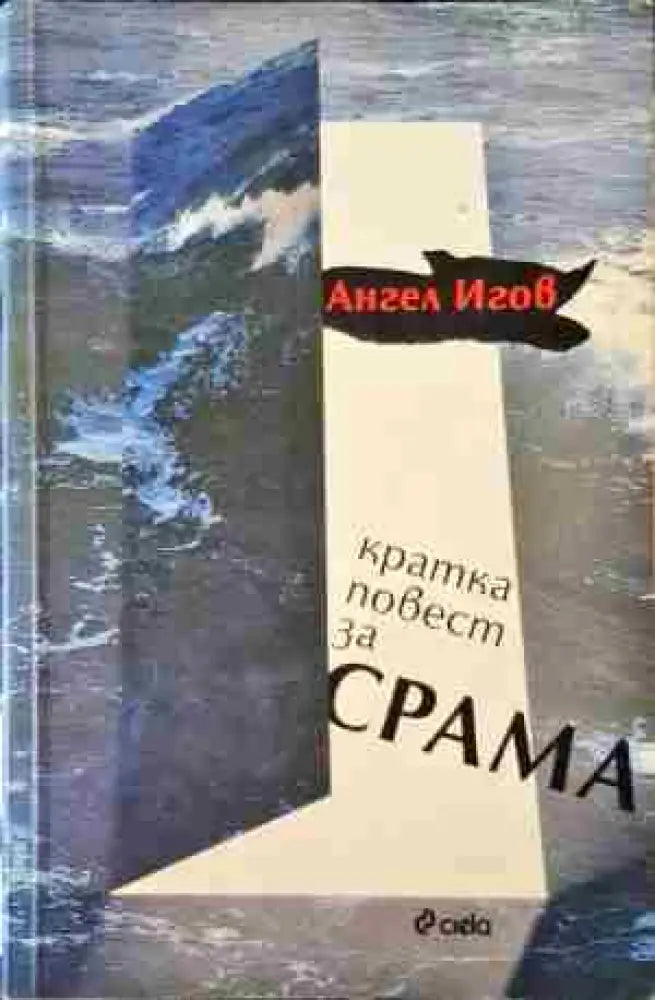 Кратка повест за срама (878) - Книга