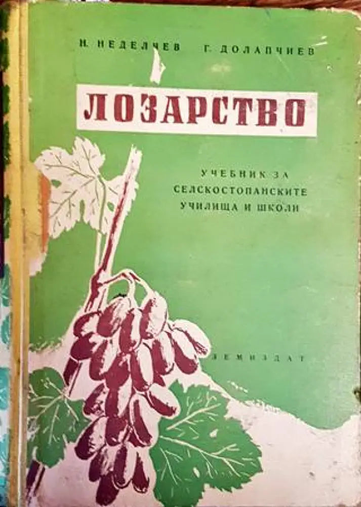 Лозарство (915)