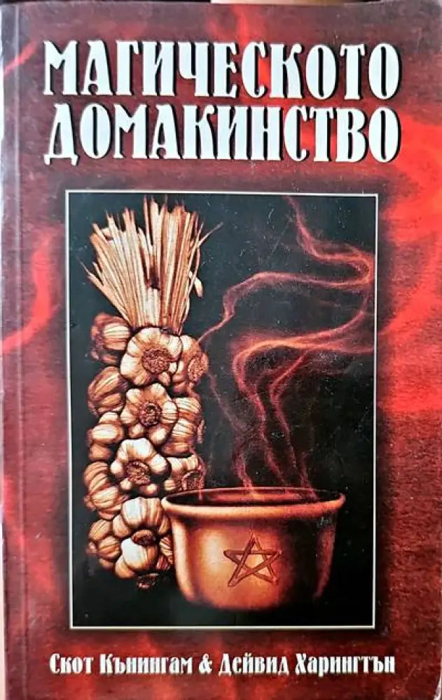 Магическото домакинство (2209) - Книга