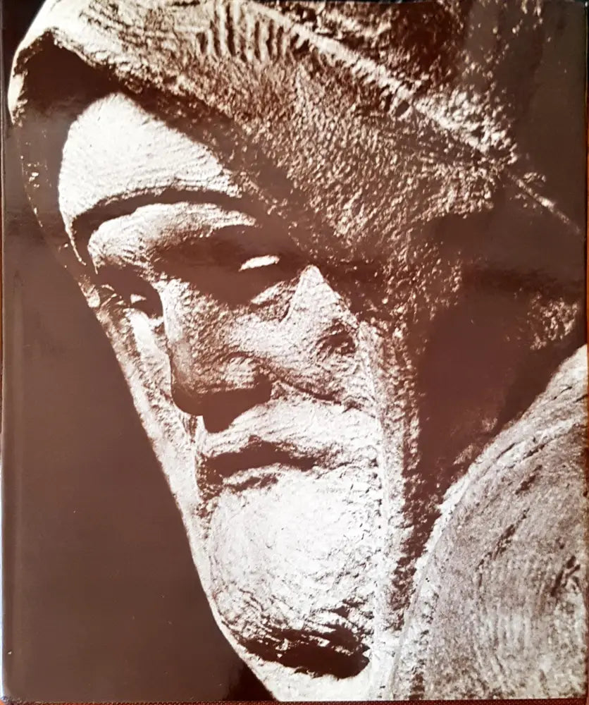 Микеанджело - Книги