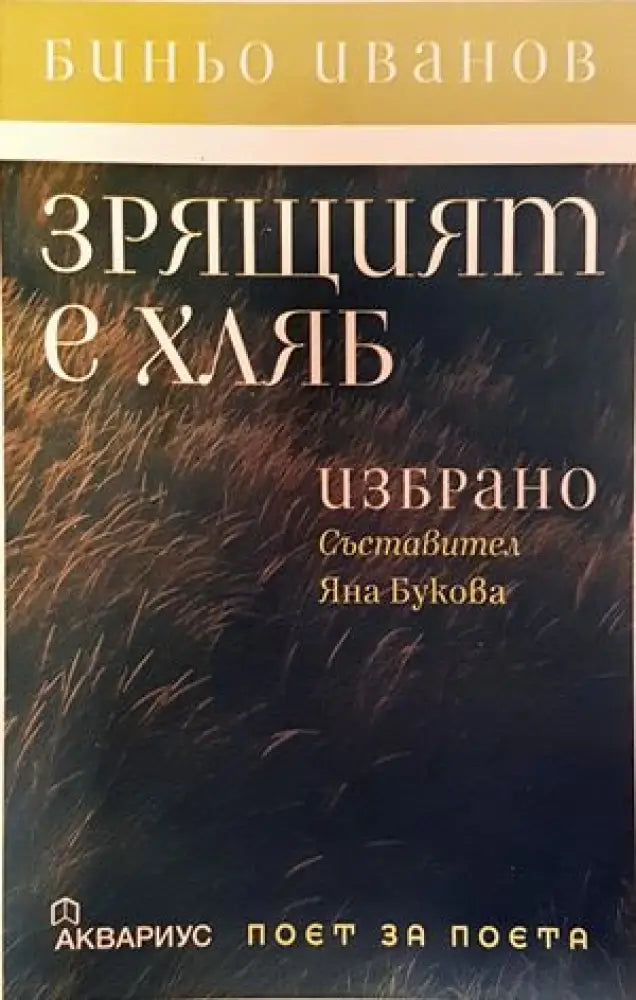Мой словарь. Иврит-русский - Книги