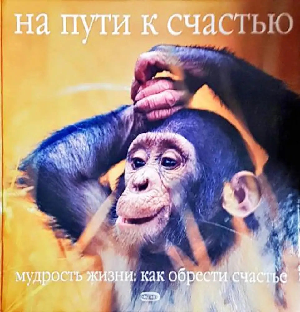 На пути к счастью (51)