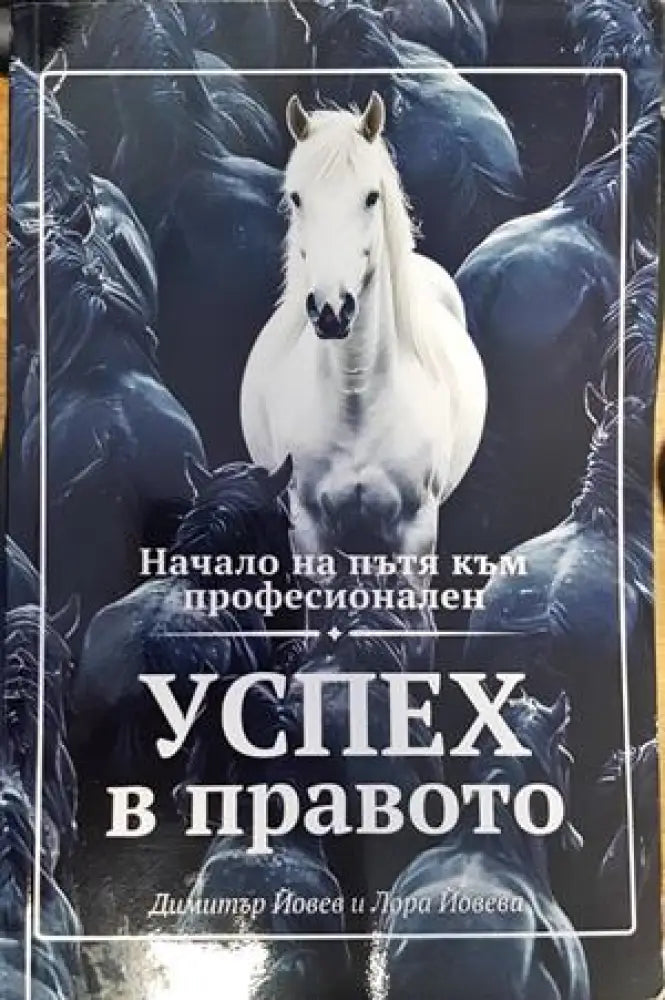 Начало на пътя към професионален успех в правото - Книги