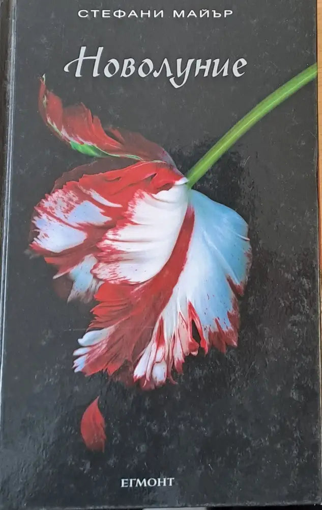 Новолуние - Книги