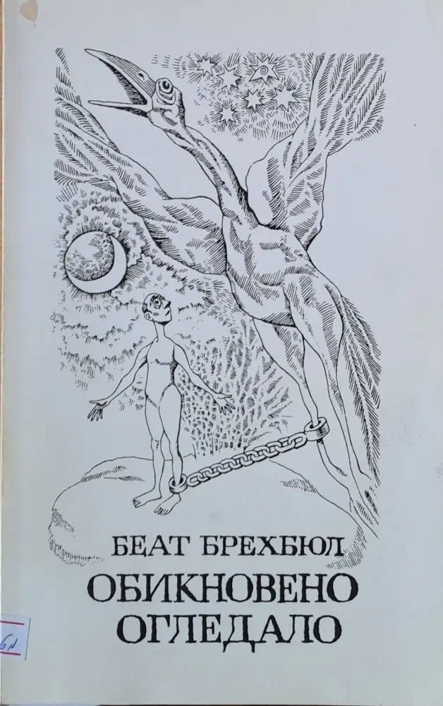 Обикновено огледало - Книги