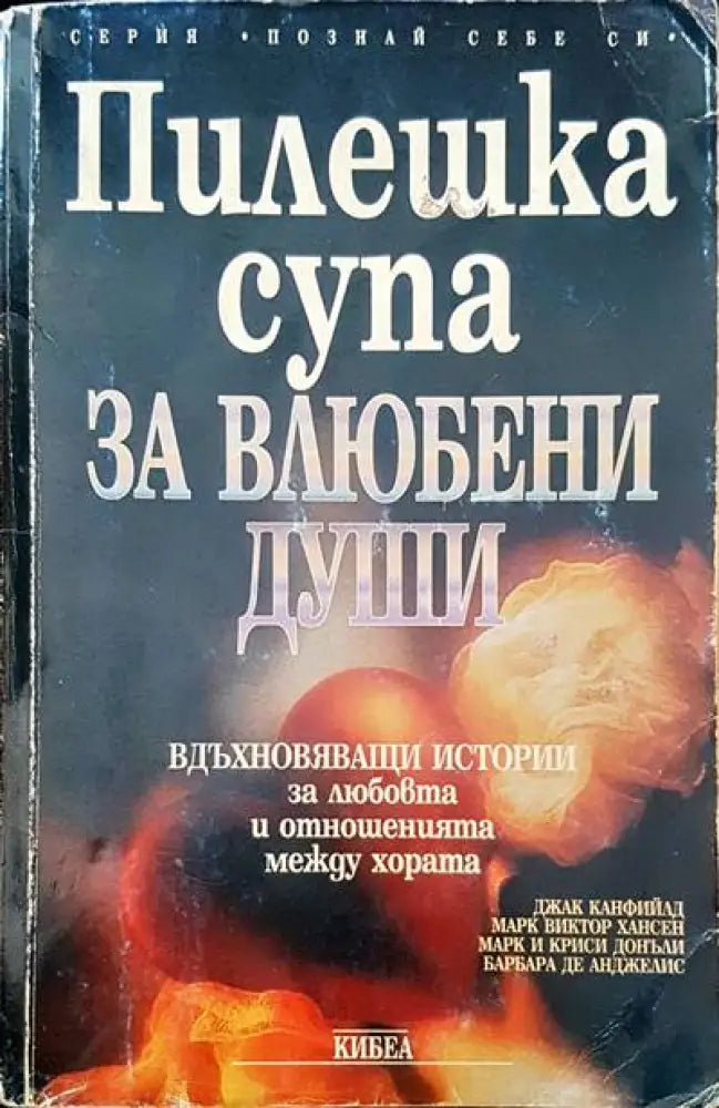 Пилешка супа за влюбени души (1541) - Книга