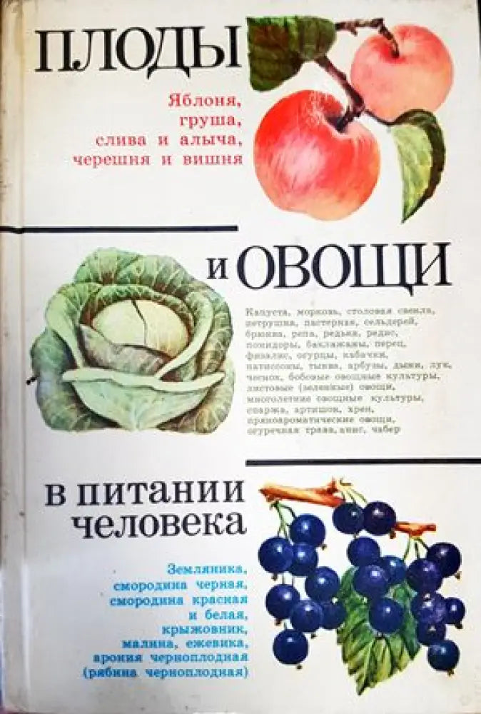 Плоды и овощи в питании человека - Книги