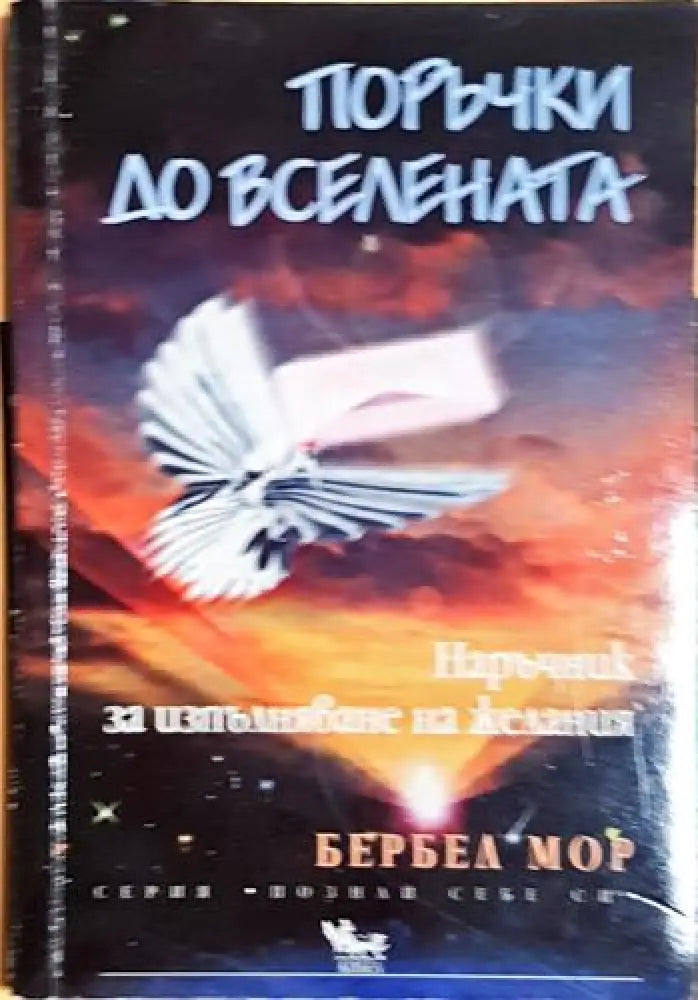 Поръчки до Вселената - Бербел Мор - Книга
