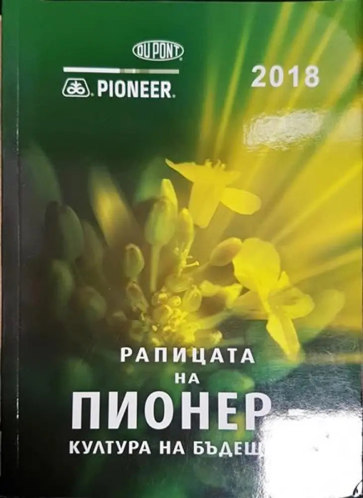 Рапицата на Пионер - култура на бъдещето - Книги