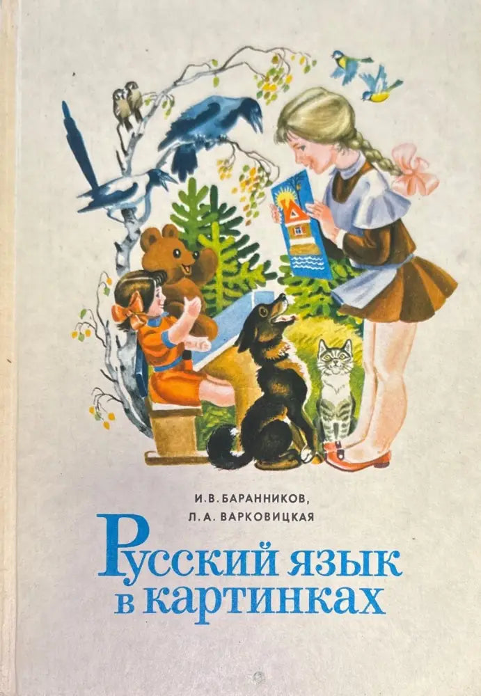 Русский язык в картинках - Книги