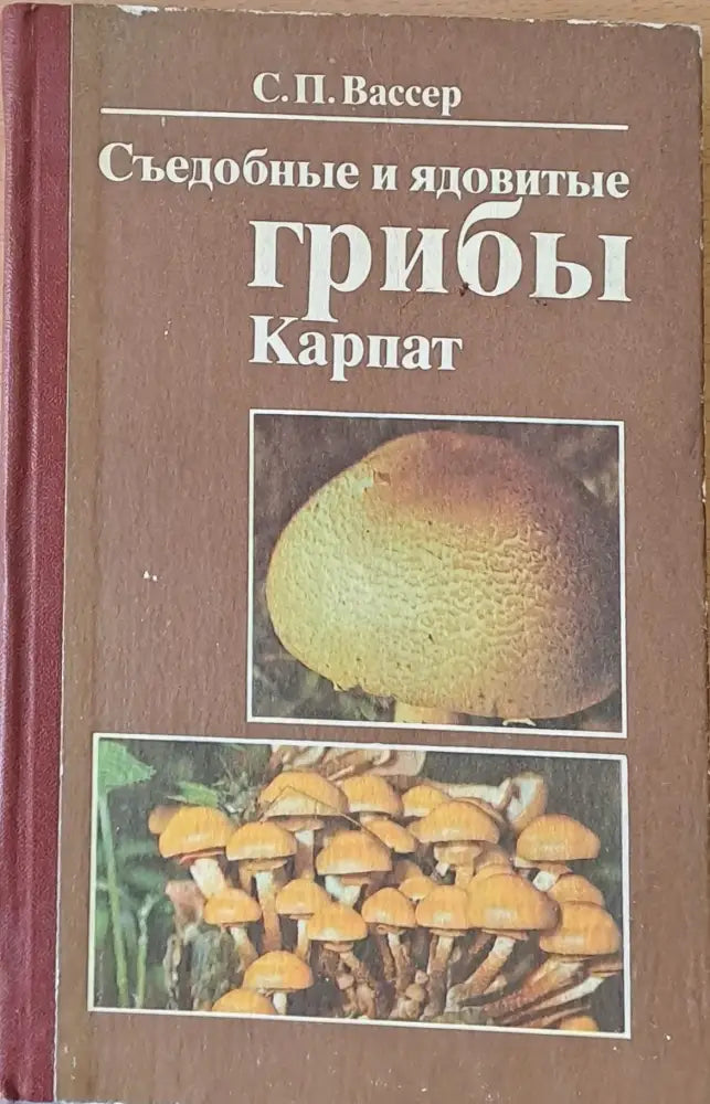 Съедобные и ядовитые грибы Карпат (167)