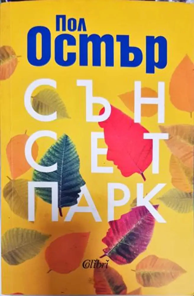 Сън сет парк - Книга