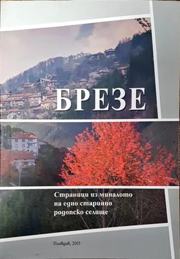 Село Брезе и неговите храмове - Книги
