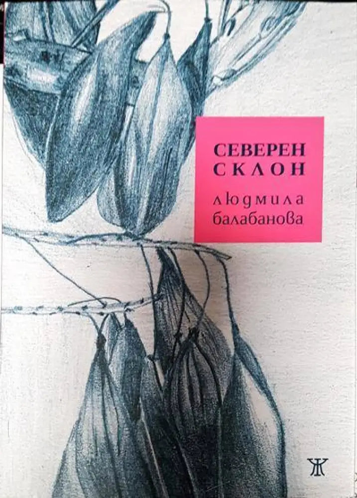 Северен склон - Книги