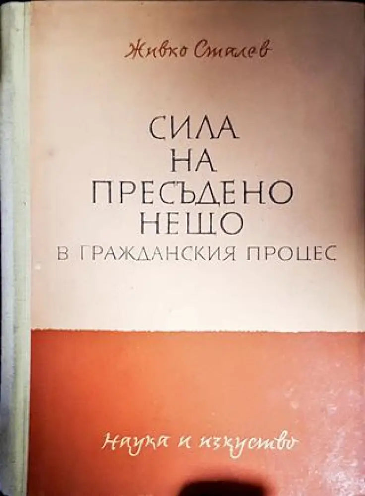 Сила на пресъдено нещо в гражданския процес (1293)