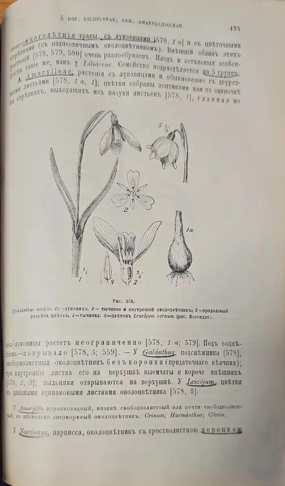 Систематика растений. Част 1 (146)