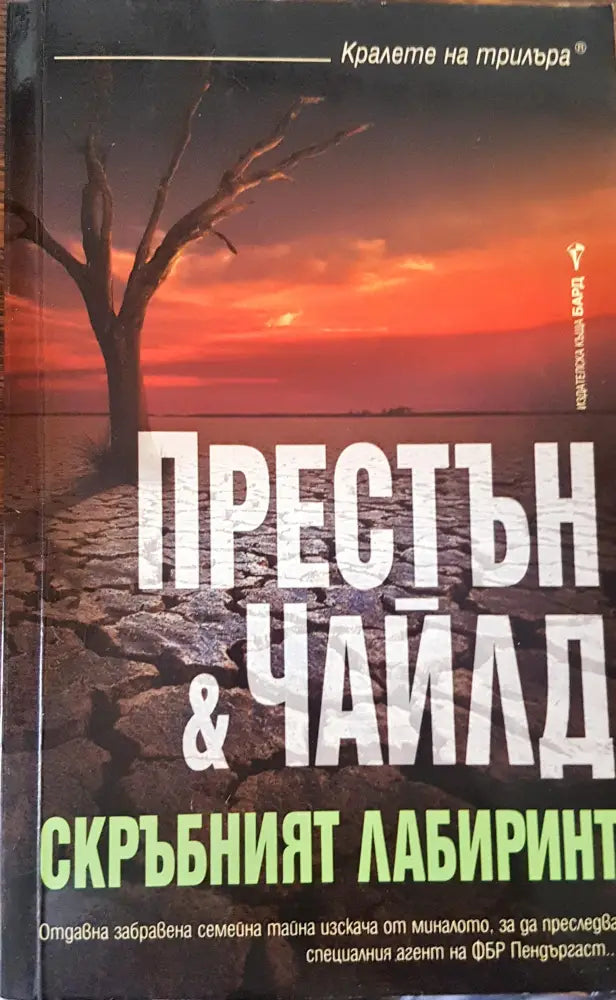 Скръбният лабиринт - Книги
