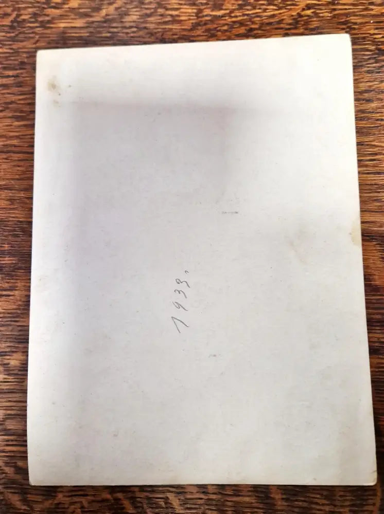 Снимка (29)