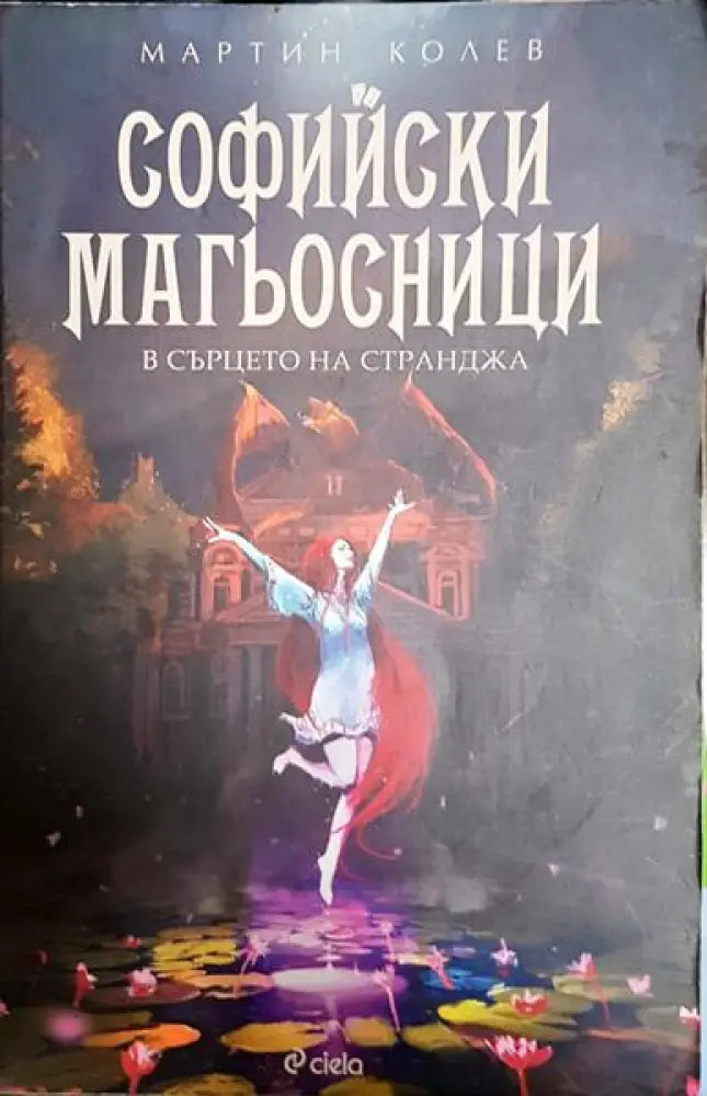 Софийски магьосници. Книга 2: В сърцето на Странджа - Книга