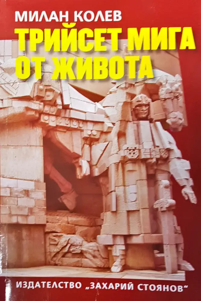 Трийсет мига от живота - Книги
