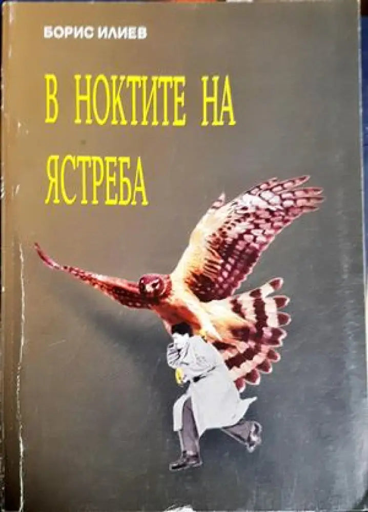 В ноктите на ястреба - Борис Илиев (2673) - Книга
