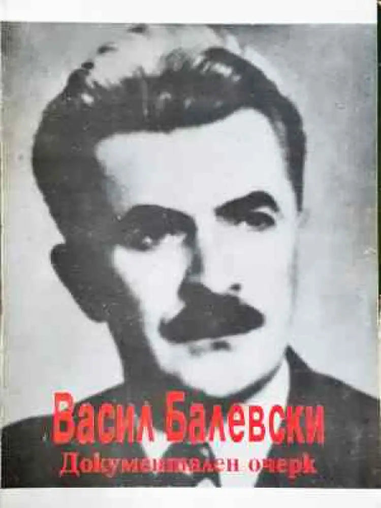 Васил Балевски - Документален очерк (2566) - Книга