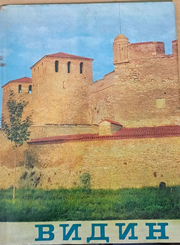 Видин (335)