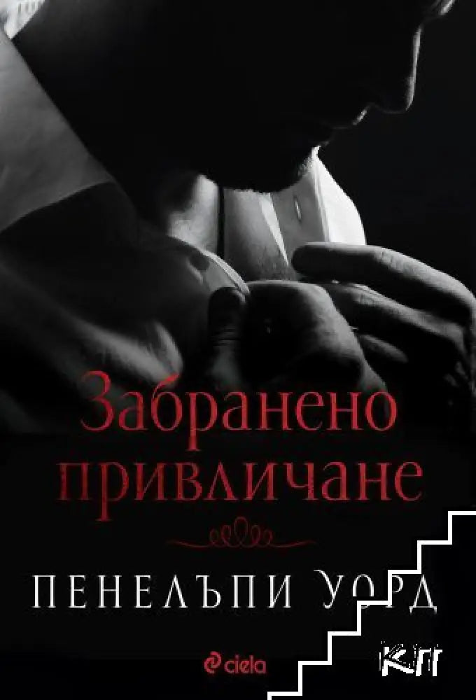 Забранено привличане (1180) - Книга