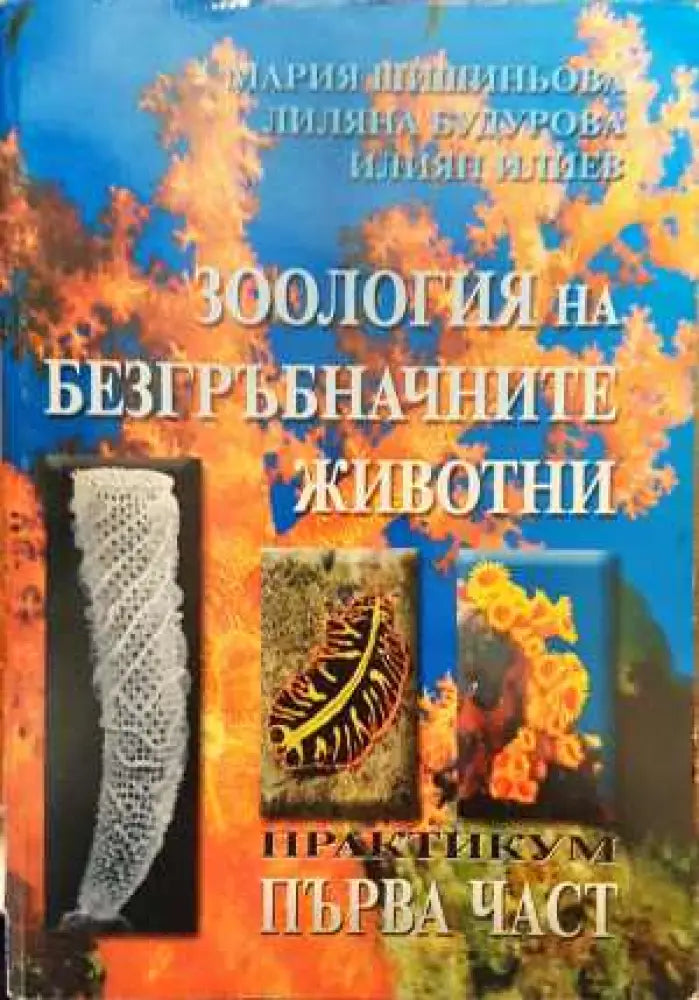 Зоология на безгръбначните животни - Книга