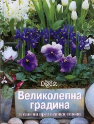 Великолепна градина в саксии през всички сезони (383)