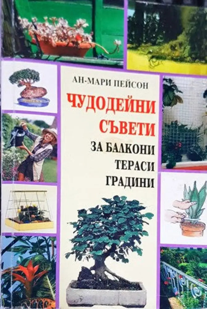 288 съвета за любителя лозар - Книги
