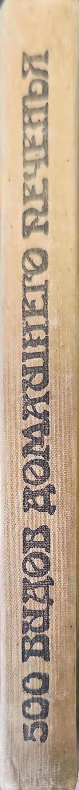 500 видов домашнего печенья