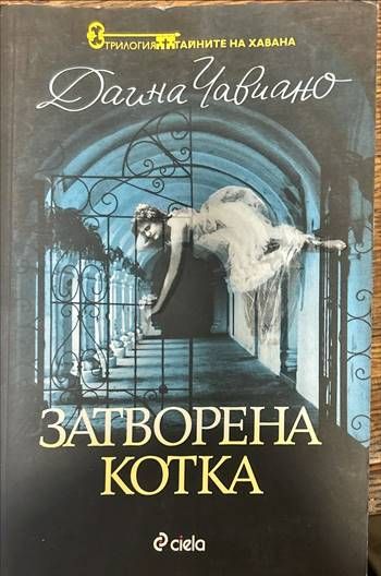 Затворена котка (1370)