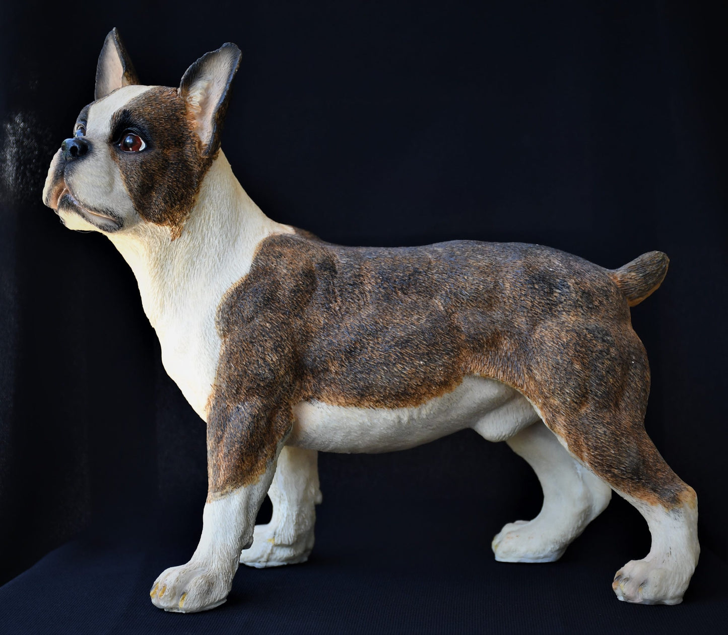 Реалистична скулптура на Boston Terrier