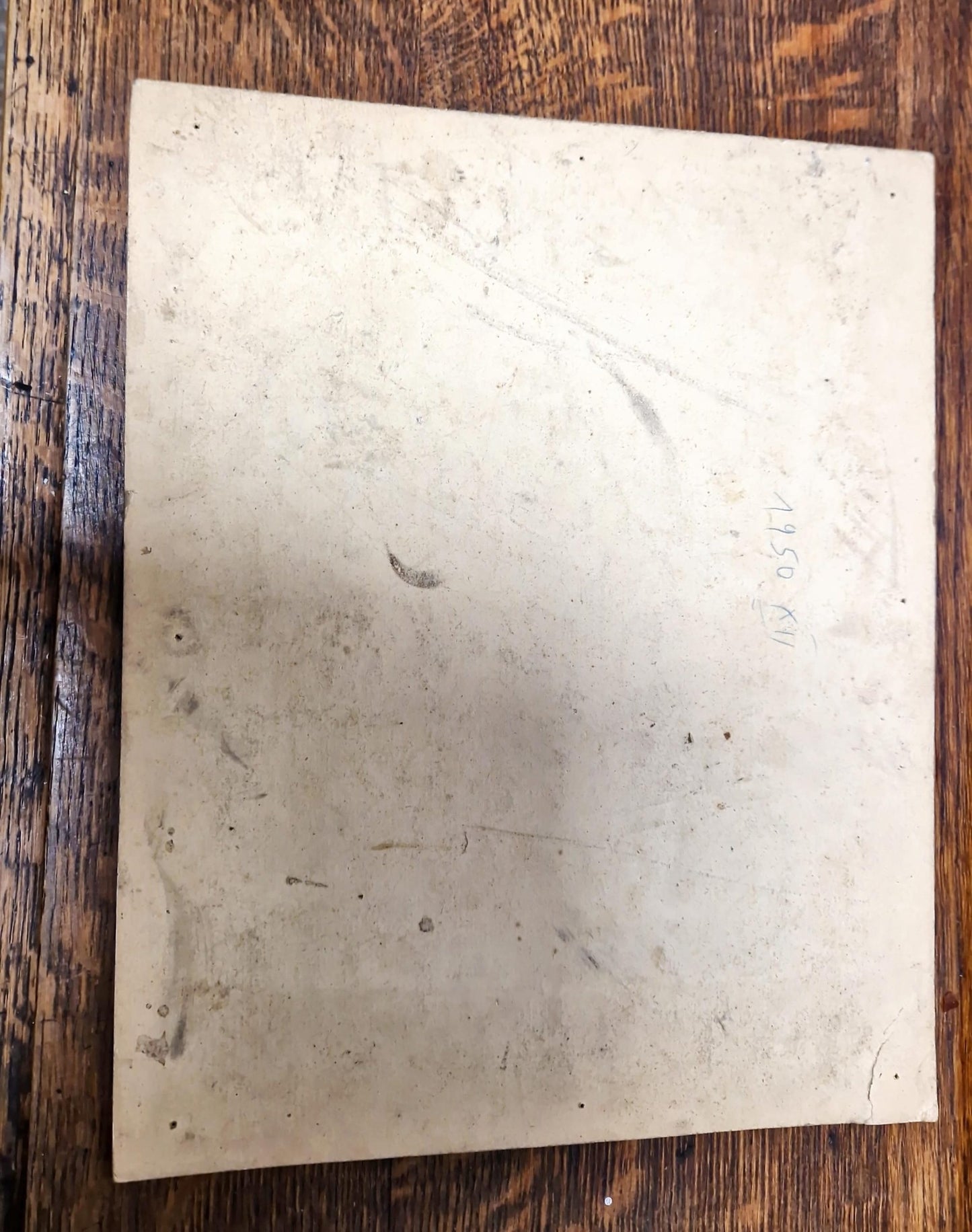 Снимка - Невена Дочева 1950