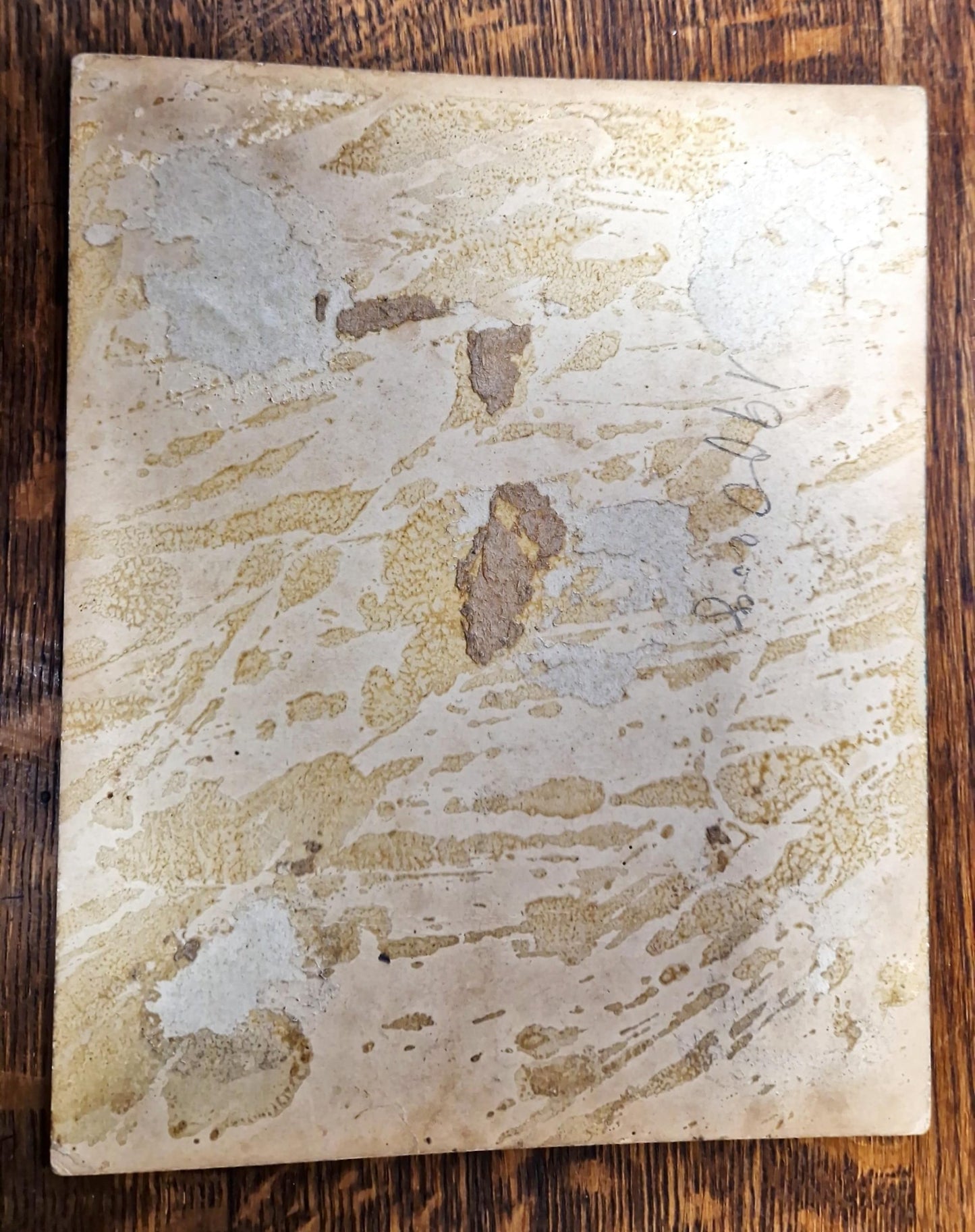 Снимка - Невена Дочева 1958