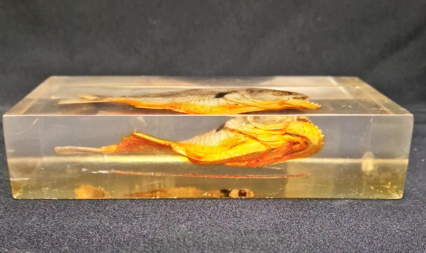 Статуетка пираня - стъкло