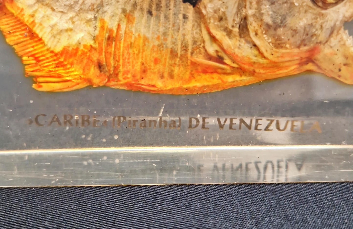 Статуетка пираня - стъкло