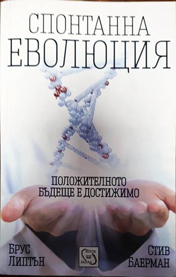 Спонтанна еволюция