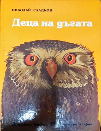 Деца на дъгата