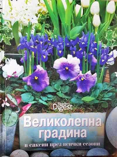 Великолепна градина в саксии през всички сезони