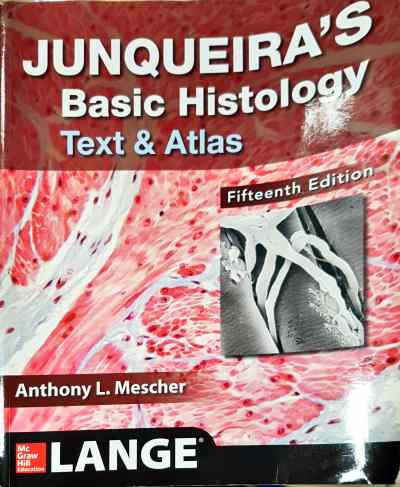 Junqueira's Basic Histology: Text and Atlas