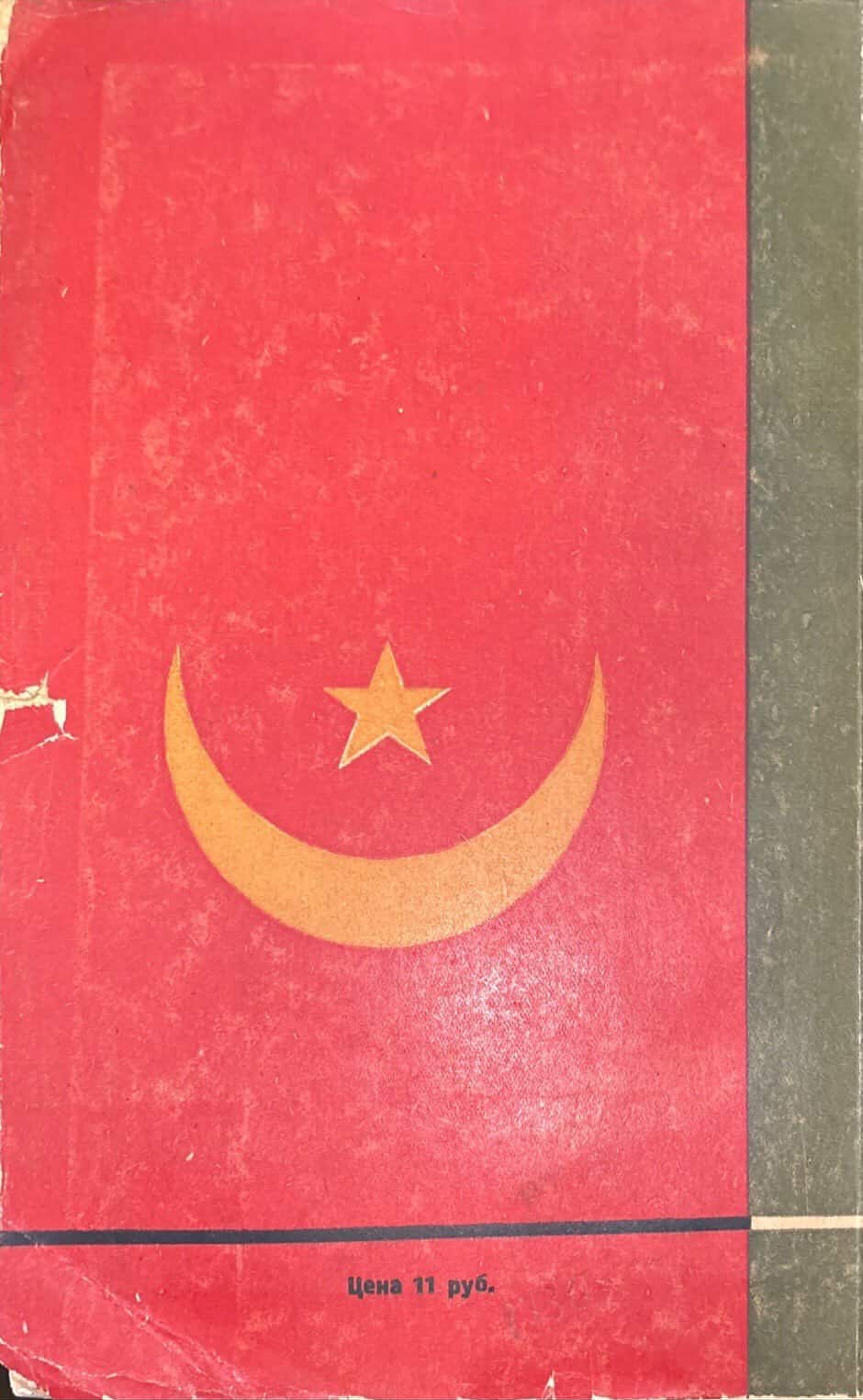 Путь новой Турции - Том II