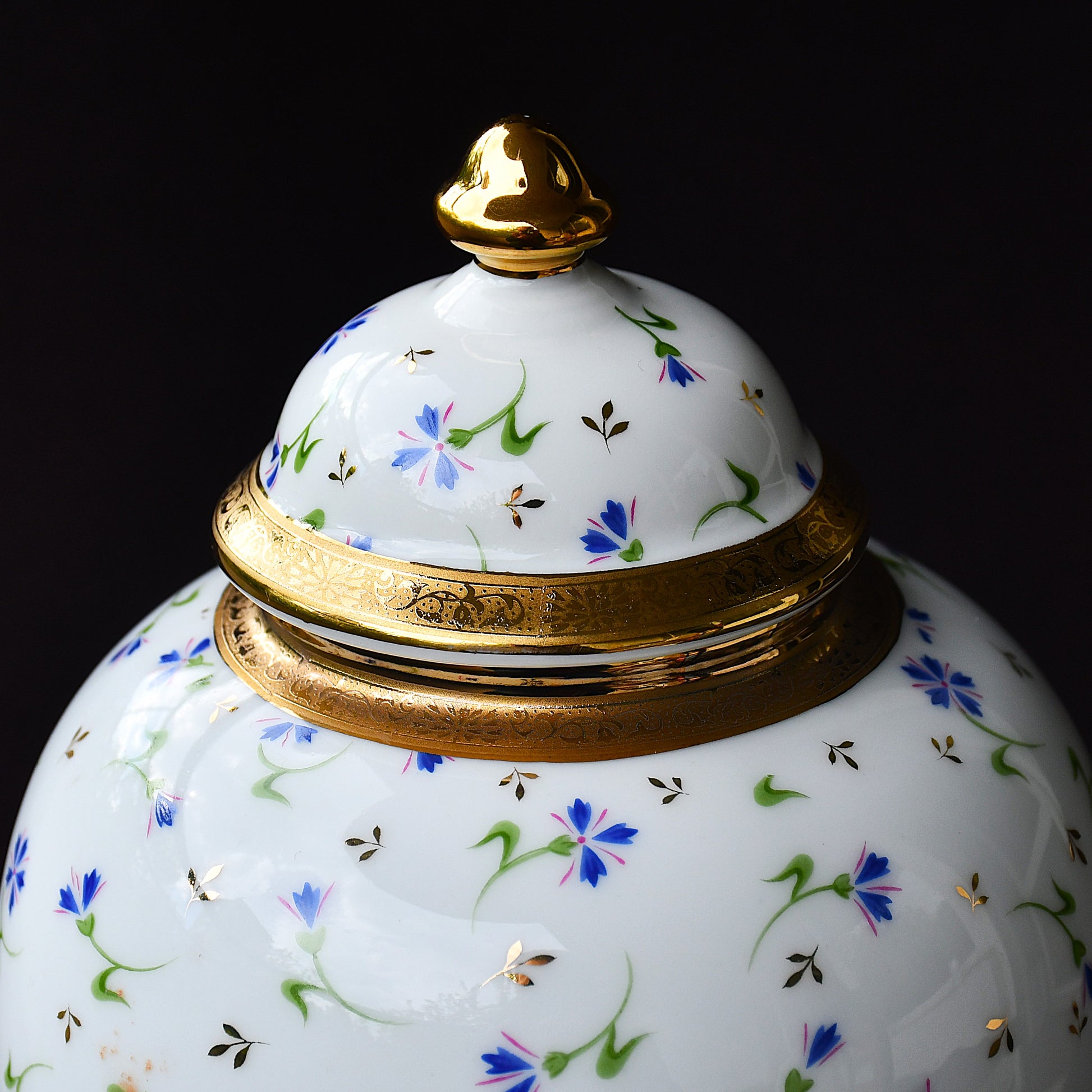Limoges Barbeau - страничен изглед