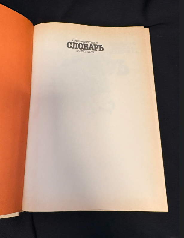 Картинно-ситуативный словарь русского языка (2390)